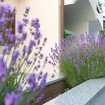 Family House With Near The Beach And City Center